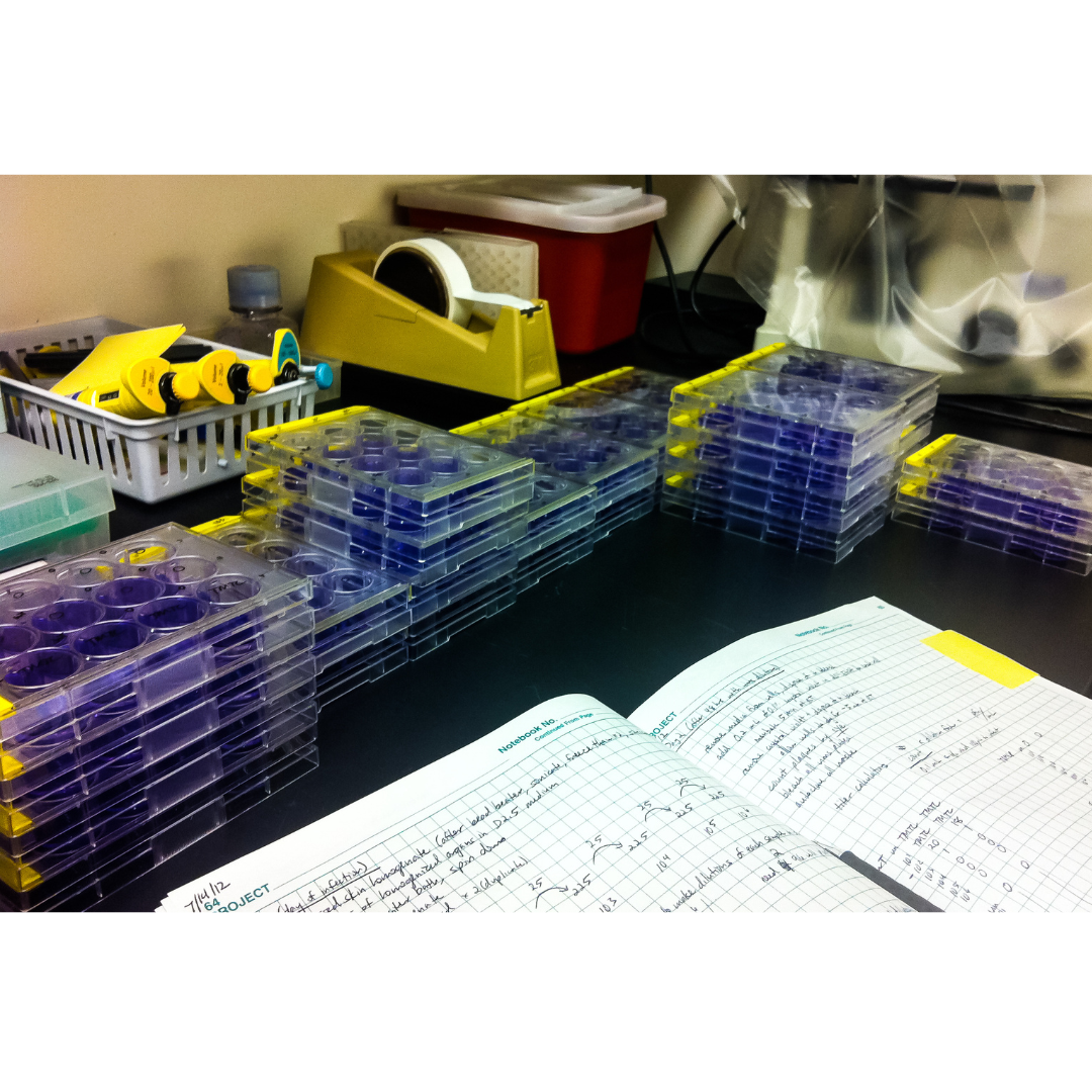 Biotechnology Lab Notebook Case Study